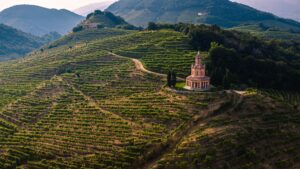 View of the wine trails in Veneto