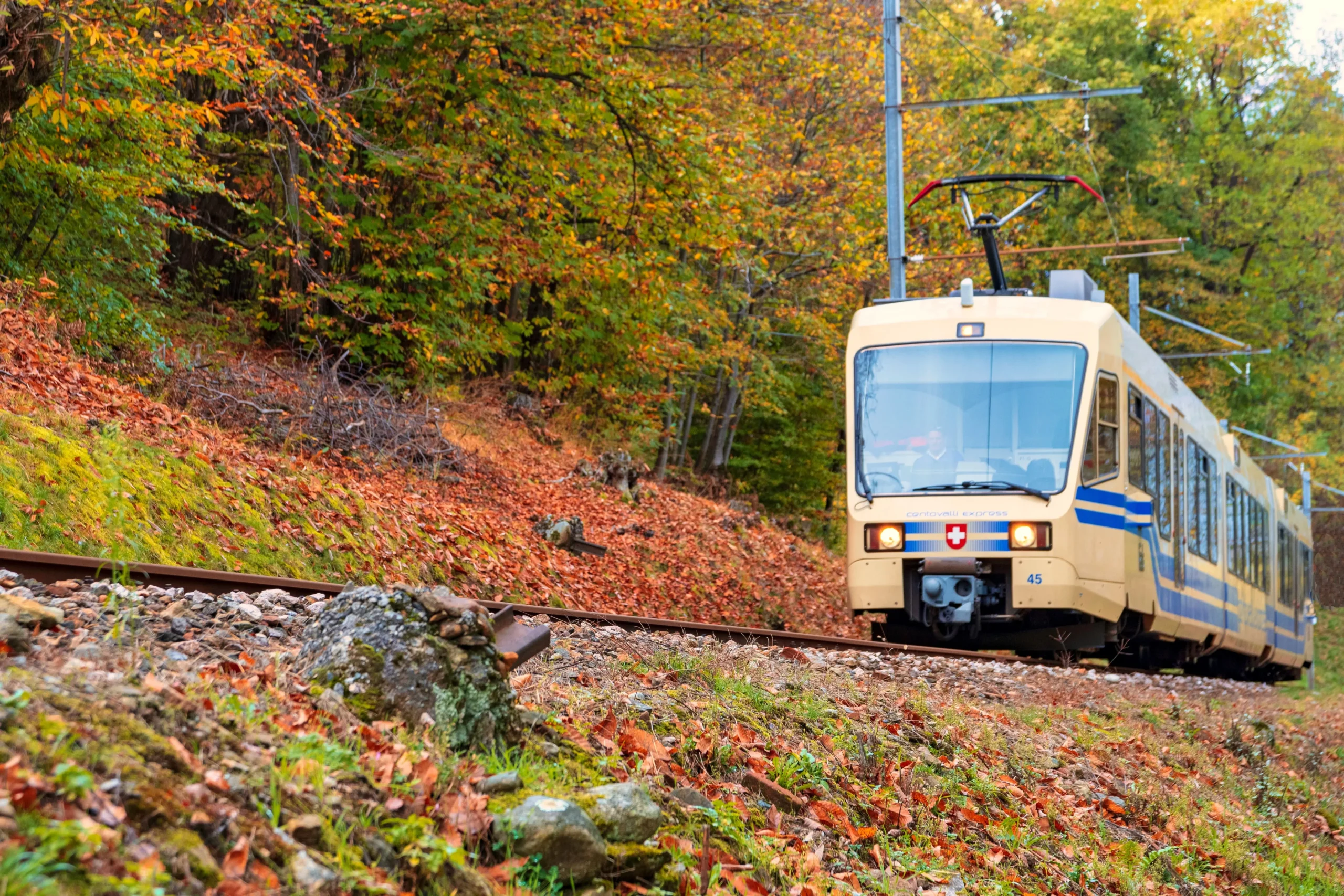 Scenic Foliage Train on Vigezzina–Centovalli Railway amidst vibrant autumn foliage.