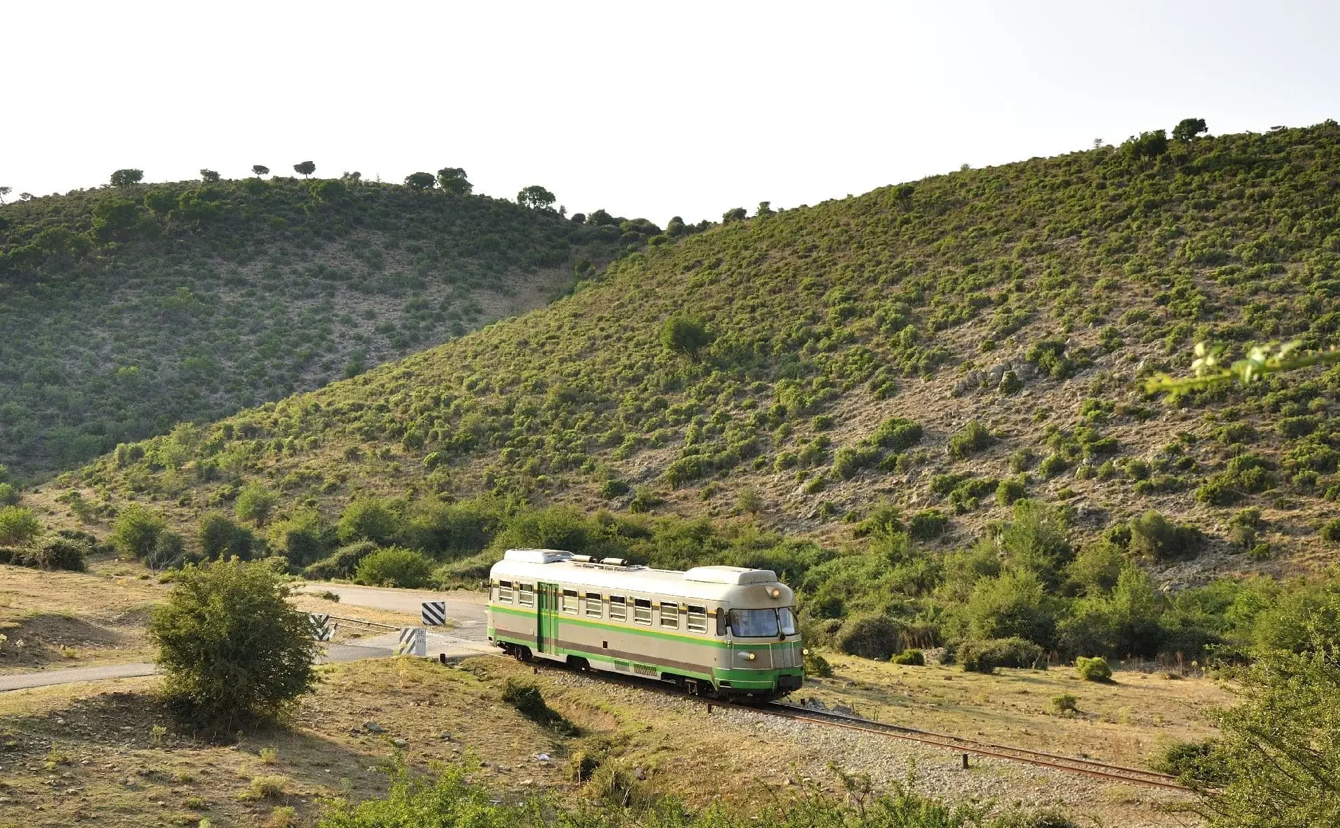 Little Green Train in Sardinia's Lush Woods: Enchanting Rail Journey amidst Nature's Beauty.
