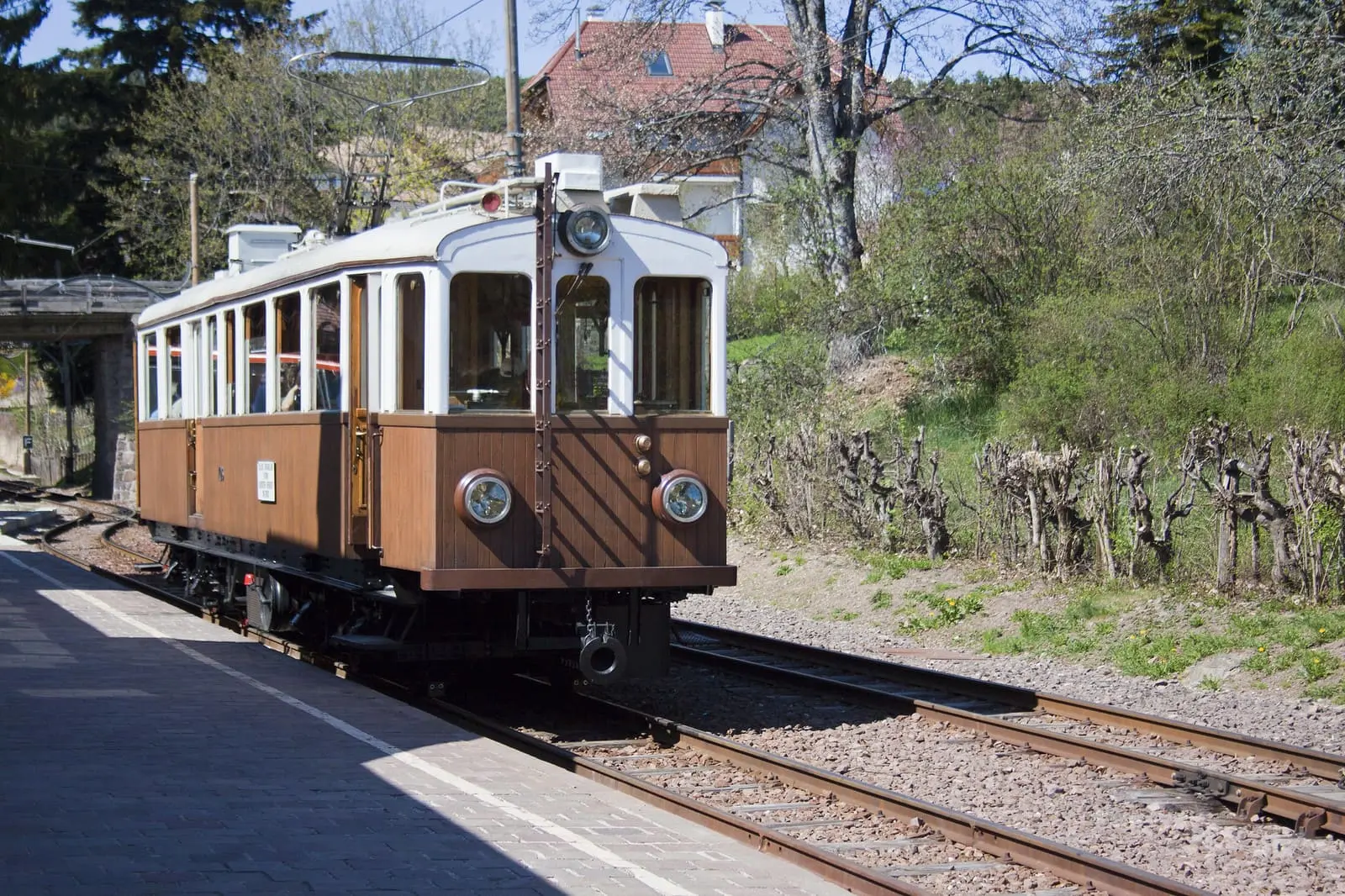 Rittner Bahn Scenic Trail: Train Amidst Woods and Landscapes