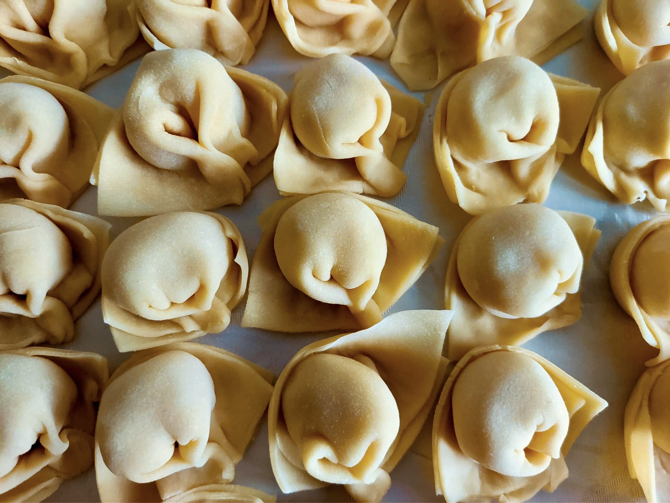 In the picture, freshly made tortellini are raw and ready to be cooked.